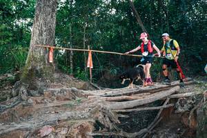 BIB: 
                            <button type="button" onclick="openModal(27312871)" class="btn btn-primary btn-sm float-right btn-popup" data-toggle="modal" data-target=".modal-high-quality">
                        <i class="fas fa-shopping-cart"></i> Add to Cart
                    </button>
                                            <button type="button" onclick="isThisMe(27312871, true)" class="btn btn-success btn-sm float-right btn-popup btn-isme hidden" data-toggle="tooltip" data-placement="bottom" title="นี่คือรูปของคุณใช่ไหม คลิกที่นี่เพื่อเอาเข้าอัลบั้ม">
                        <i class="fas fa-plus"></i> Add to album
                    </button>
                    <button type="button" onclick="isThisMe(27312871, false)" class="btn btn-warning btn-sm float-right btn-popup btn-isnotme hidden">
                        <i class="fas fa-ban"></i> Remove from album
                    </button>